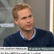 Gustav Fridolin, tidigare MP-språkrör