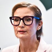 Birgitta Ohlsson framför Centerpartiets logotyp på onsdagens pressträff.