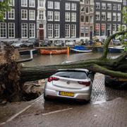 En bil har krossats under ett träd i Amsterdam.