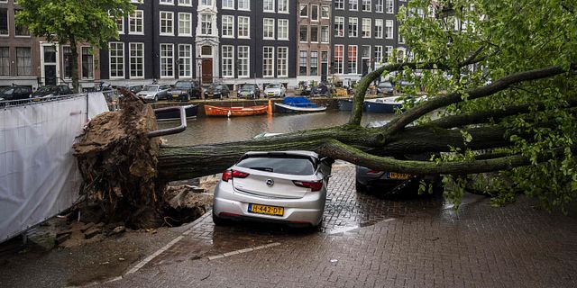 En bil har krossats under ett träd i Amsterdam. EVERT ELZINGA / AFP