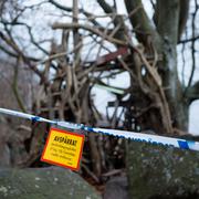 Ett av tornen i Lars Vilks skapelse Nimis förstördes i banden.