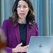 Anna Seim, vice riksbankschef.