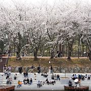 Människor i en park i Seoul. Illustrationsbild.