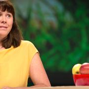 Åsa Romson