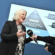 Socialtjänstminister Camilla Waltersson Grönvall (M) håller pressträff om nya lagen.