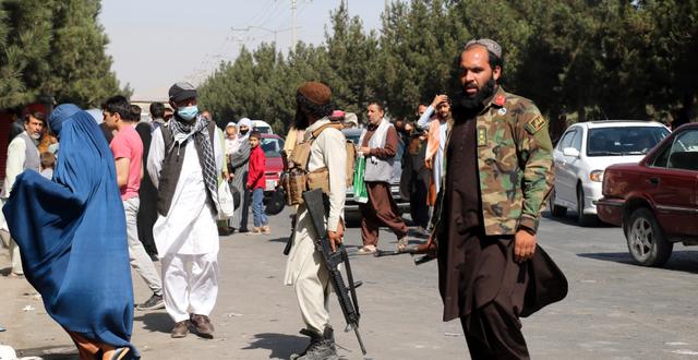 Talibaner i Kabul. Wali Sabawoon / TT NYHETSBYRÅN
