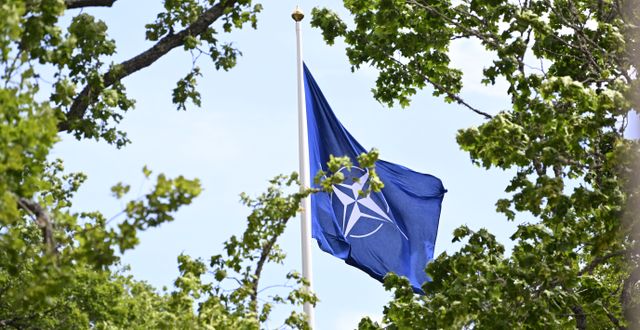 Natos flagga. Illustrationsbild.  Henrik Montgomery/TT