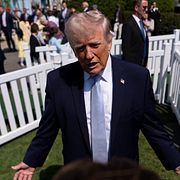 Donald Trump, arkivbild från 6 april.