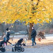 Höst på Södermalm i Stockholm