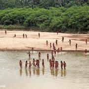 Medlemmar i Mashco Piro i Madre de Dios-provinsen i Peru. 