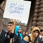 Palestinier demonstrerar utanför riksdagen efter att ha gått dit hela vägen från Uppsala.