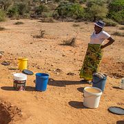Bybor i Mudzi, Zimbabwe, söker efter vatten i samband med torka 2024.