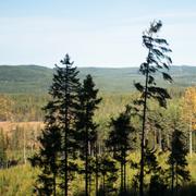 Hykjeberget i Älvdalen.