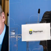 Tommy Möller/Stefan Löfven