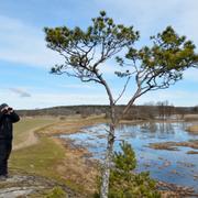 Arkivbild på Orlångens naturreservat vid Balingsta gård i Huddinge.