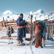 Herde i Mongoliet, 1 mars.