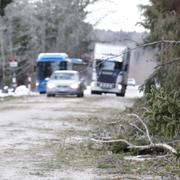 Arkivbild: Nedfallna träd till följd av stormen Alfrida på väg 77 vid Finsta.