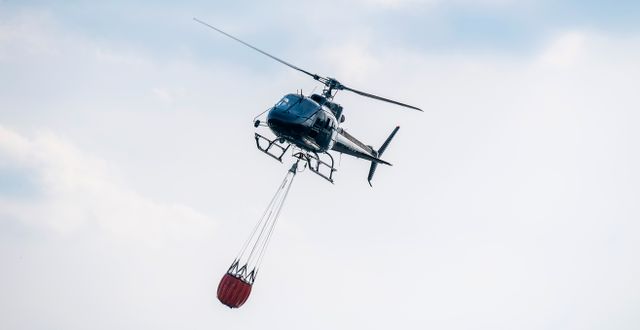 Arkivbild: en helikopter vattenbombar en skogsbrand.  Suvad Mrkonjic/TT