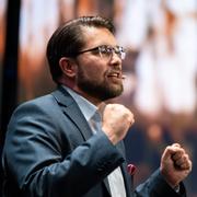 Jimmie Åkesson, 11 september.