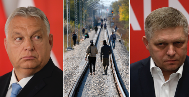Viktor Orbán, flyktingar nära gränsen mellan Serbien och Ungern, Robert Fico (Arkivbilder) TT