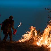 Illustrationsbild: Brandmän bekämpar en skogsbrand i Kalifornien, september 2020. 