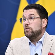 SD-ledare Jimmie Åkesson.