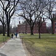 Harvard.