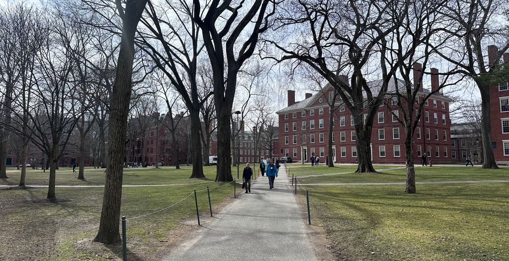 Harvard.
