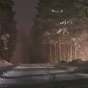 Bild från Trönö i Söderhamn på nyårsdagen. 