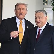 Arkivbild på Trump och Orbán.