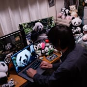 Takahiro Takauji kollar igenom några av bilderna han tagit.