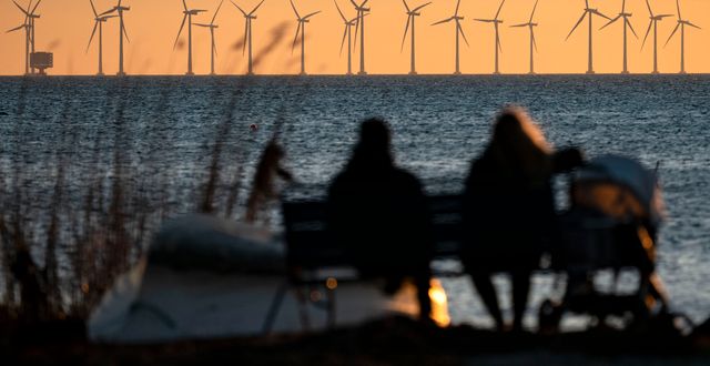 Sveriges största havsbaserade vindkraftpark - Lillgrund - söder om Öresundsbron. Johan Nilsson/TT