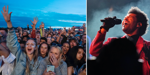 Publik på Lollapalooza 2019/The Weeknd TT