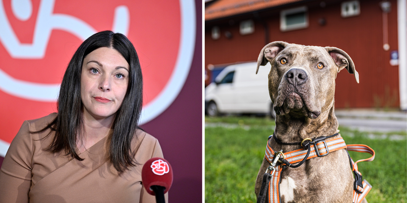 Teresa Carvalho/Kamphund.