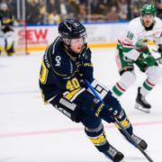 HV71 vann matchen med 1–0. 