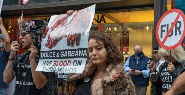 Demonstranter utanför Dolce & Gabbana-butik. Shutterstock