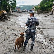 En polis med sökhund inspekterar förödelsen efter översvämningarna i Devighat i Nuwakot-distriktet i Nepal på torsdagen.