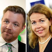 Hökmark, Federley, Wikström och Adaktusson