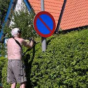 En pensionär klipper häck i ett villaområde i Stockholmsområdet. 
 