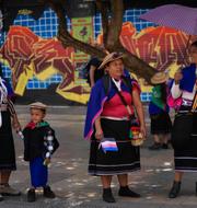 Arkivbild. Personer som tillhör ursprungsbefolkningen i Colombia under en politisk marsch i Bogota i september. 