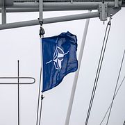 Natos flagga. Illustrationsbild.