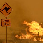 Bilder från en markbrand utanför Canberra 2020.