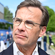Kycklingar. Kristersson.