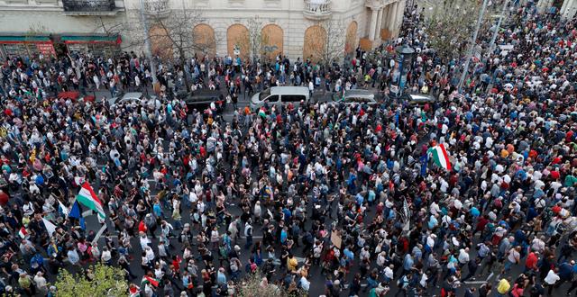 Tusentals protesterar i lördagens demonstrationer i Budapest mot Viktor Orbán.  BERNADETT SZABO / TT NYHETSBYRÅN