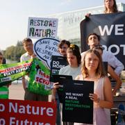 Greta Thunberg med flera demonstrerade för naturrestaureringslagen vid EU-parlamentet. Arkivfoto.