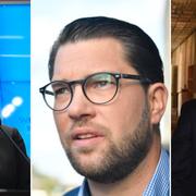 Jimmie Åkesson (SD) och SD får nu makten att avgöra talmansfrågan: Åsa Lindestam (S) eller Andreas Norlén (M)?