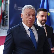 Viktor Orbán inför ett EU-toppmöte i Bryssel.