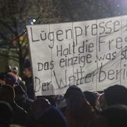 Arkivbild: Pegidademonstranter med demonstrerar med plakat med ordet "lögnarpress" (Lügenpresse), i december 2014.