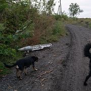 Projektil från en klusterbomb på marken i Ukraina. Leo Correa / AP