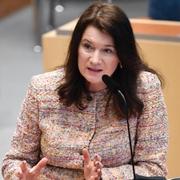 Ann Linde vill prata med it-jättar 